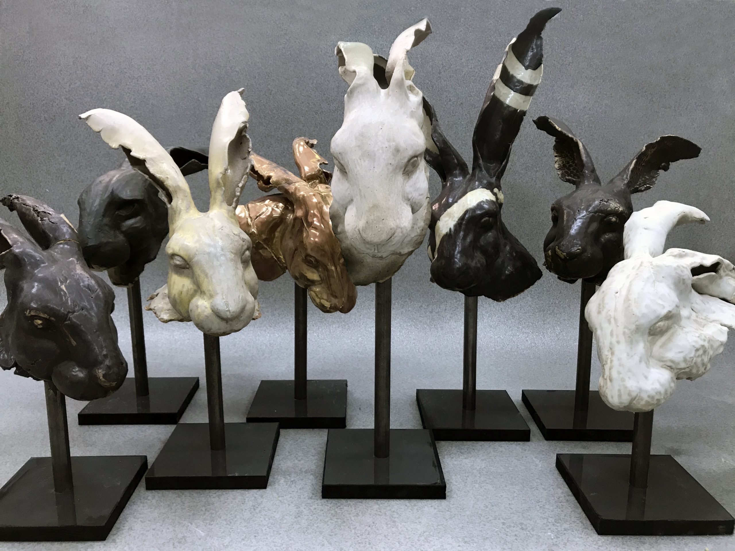 Tamara Vasović, Inspiracija sisarima, Unikatna keramika